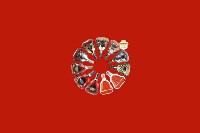 南京高淳回收红酒